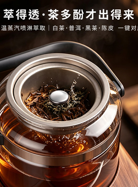 茶皇子纯钛恒温茶水分离萃茶机