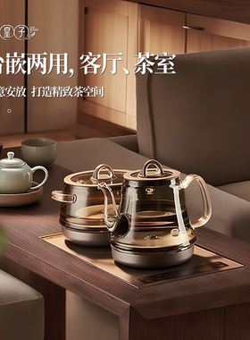 泡茶烧水壶茶皇子钛发热盘玻璃