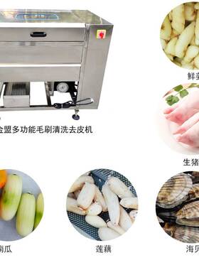 土豆去皮机全自动土豆毛辊清洗机食堂中央厨房电动商用土豆脱皮机