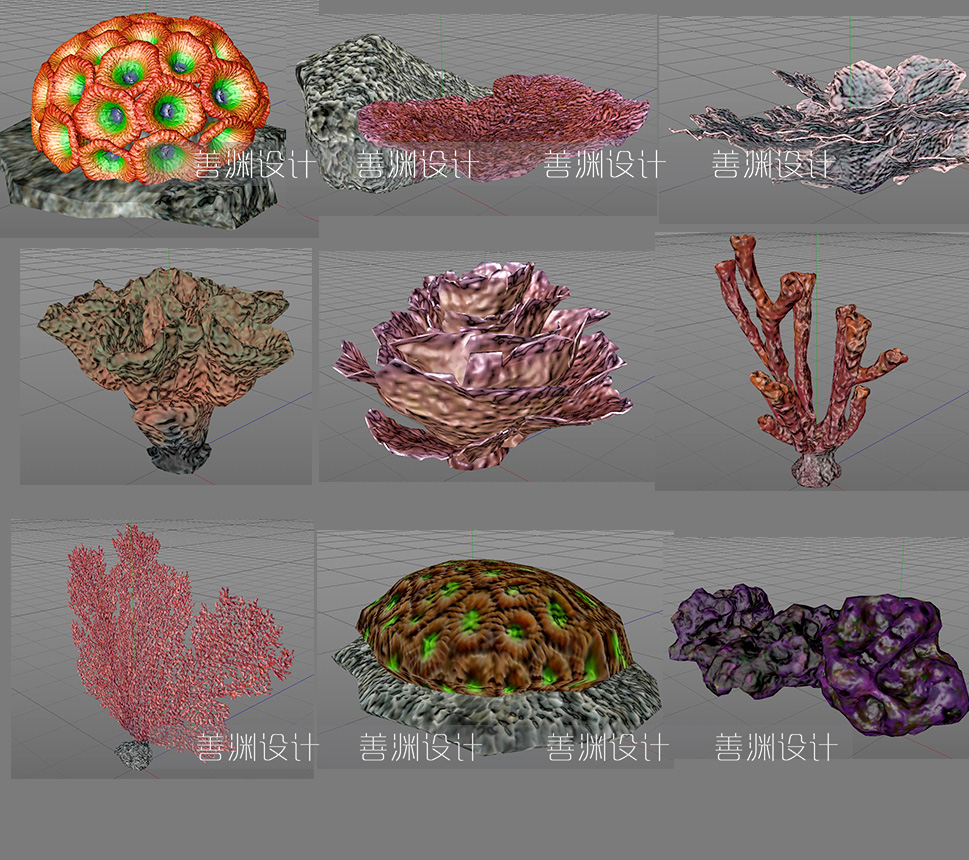 46个精美海底珊瑚海洋生物模型C4D/Rhino/FBX/OBJ/3dmax/3ds/STL-图1