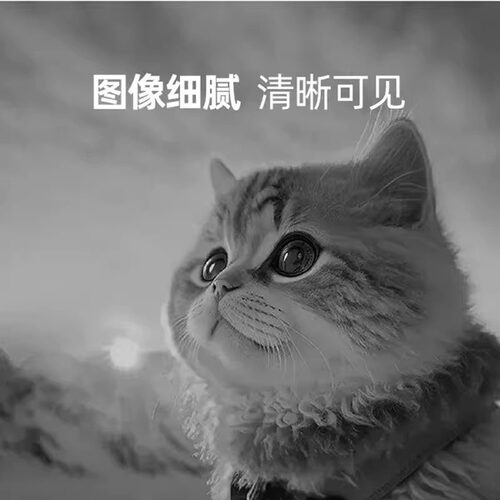 兄弟打印机硒鼓粉盒原装TN-118粉盒DCP-L1628 DCP-L1638W DCP-L1848W HL-L1228 HL-L1238W HL-L1808W墨粉仓 - 图2