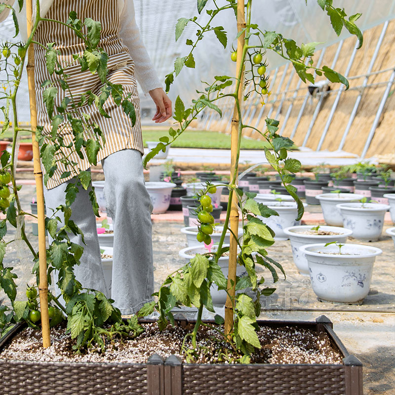 屋顶种菜箱楼顶房顶种植箱家里顶楼省空间专用阳台家庭种菜神器