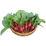 Фруктовая вишневая щита ренай