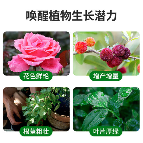 磷酸二氢钾花肥料花卉蔬菜专用水溶颗粒家用叶面肥硫酸亚铁 - 图2