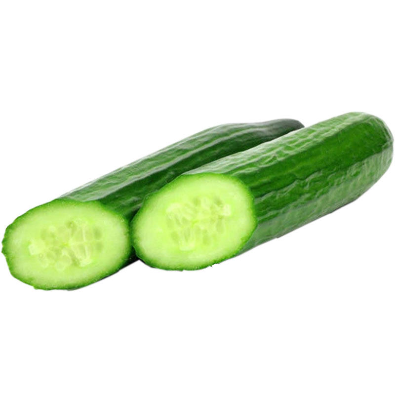 寿禾种业高产水果黄瓜种子种籽苗秋孑子青瓜嫁接大全小秧盆栽秧苗,淘宝优惠券,粉丝福利购,淘宝优惠卷