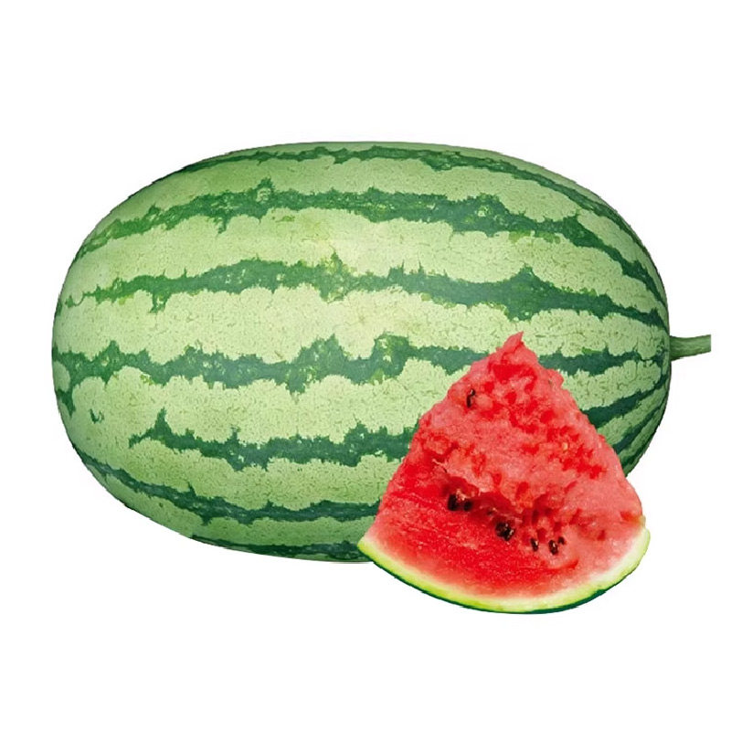 懒汉西瓜种子种籽孑苗秧盆栽8424美都麒麟瓜嫁接秧苗菜苗蔬菜大全,淘宝优惠券,粉丝福利购,淘宝优惠卷