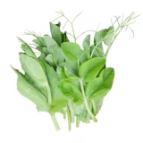 Саженцы гороха, овощи, семена гороха, саженцы шип