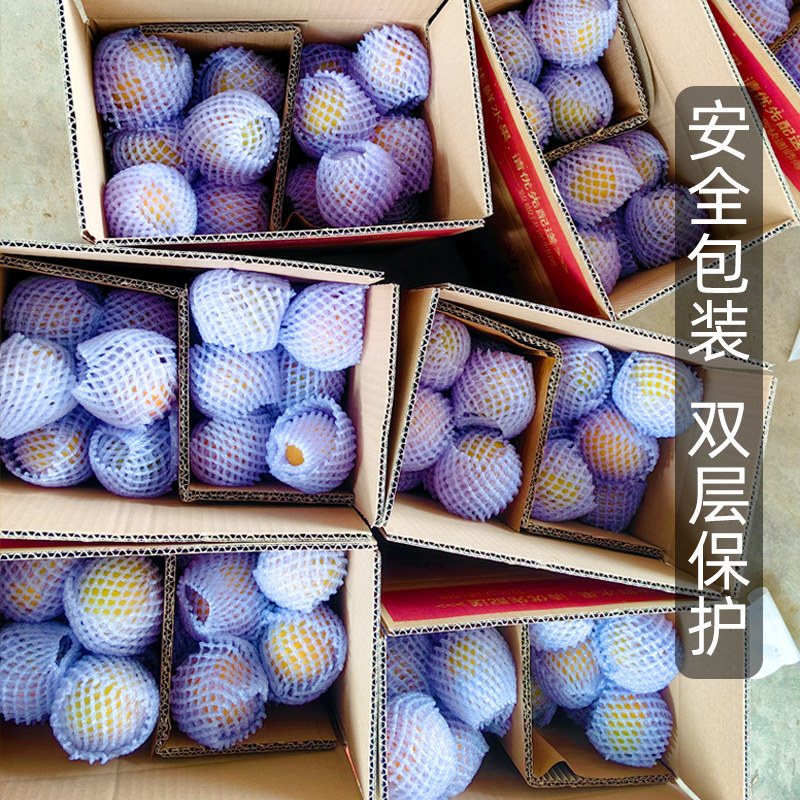 现摘大黄杏子新鲜水果当季陕西时令孕妇酸甜脆鲜杏金太阳5斤包邮