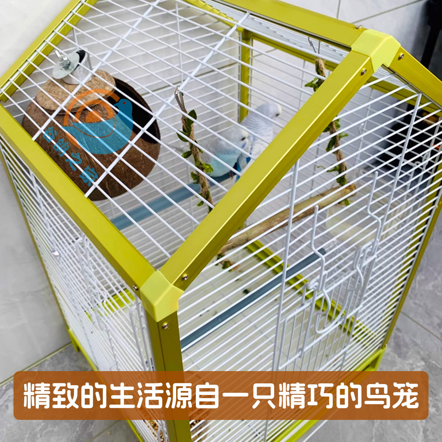 图5