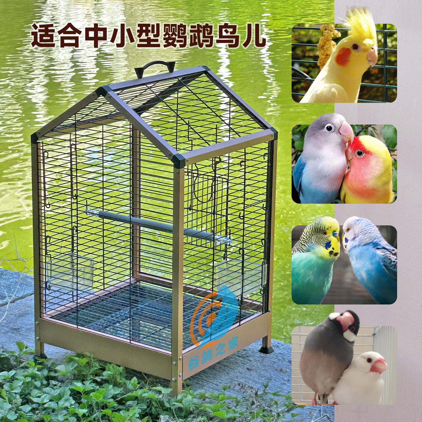 图2
