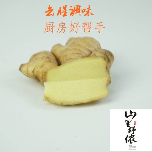 浙江永康仙牛山老姜五指岩生姜黄姜月子姜小黄姜山洞姜 - 图3