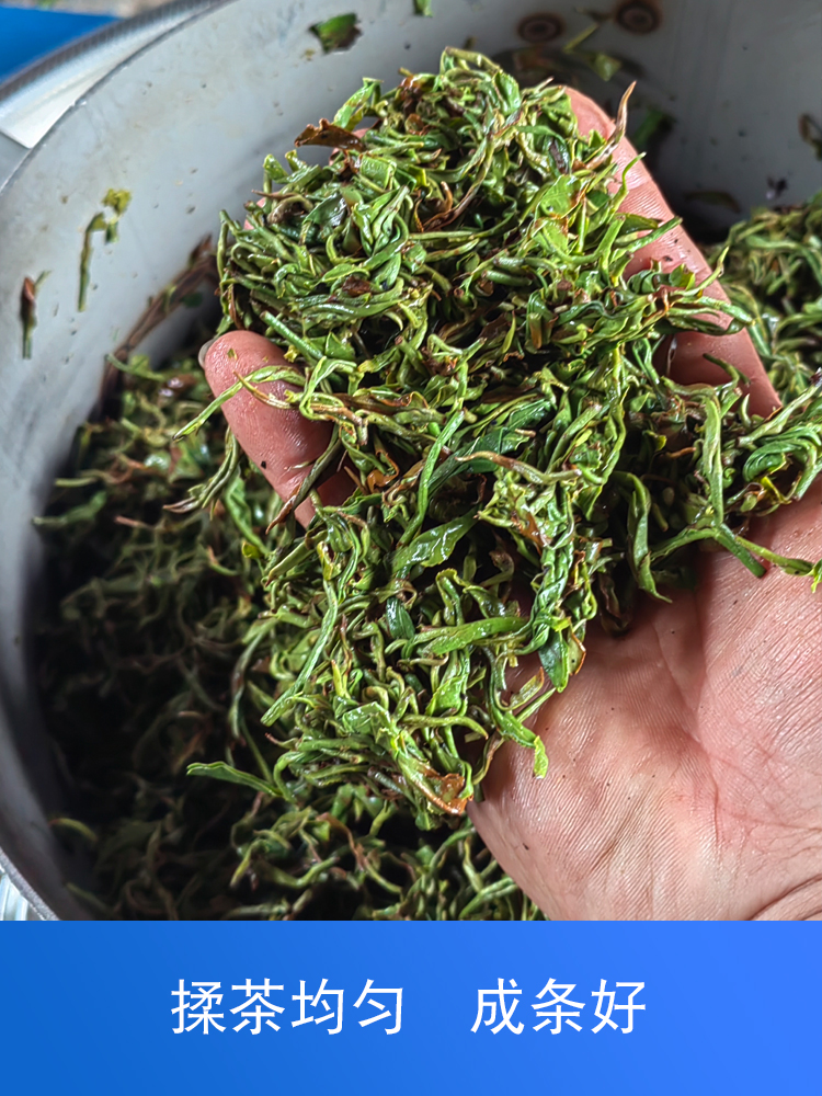 茶叶揉捻机家用小型全自动不锈钢电动揉茶机手动制茶茶叶加工设备_虎窝淘