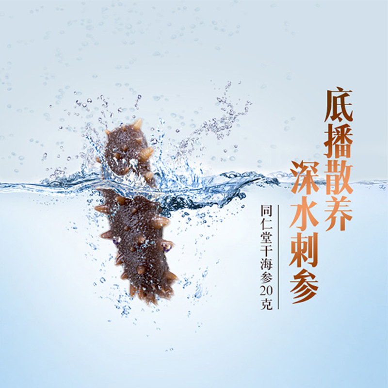 北京同仁堂淡20g(7只)水产辽参 同仁堂北京专卖干品/即食海参