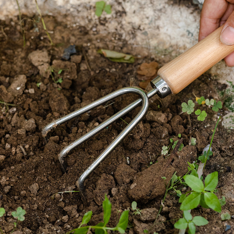 园艺工具小铲子剪刀家用套装种花种菜盆栽铲土松土除草户外,淘宝优惠券,粉丝福利购,淘宝优惠卷