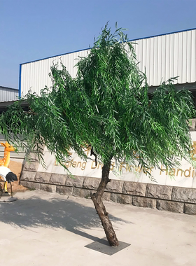 高端会所景观装饰大型落地柳树
