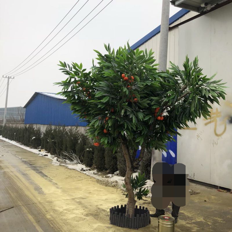 仿真桔子树假柠檬树新年许愿树商场客厅大堂摆放苹果树落地