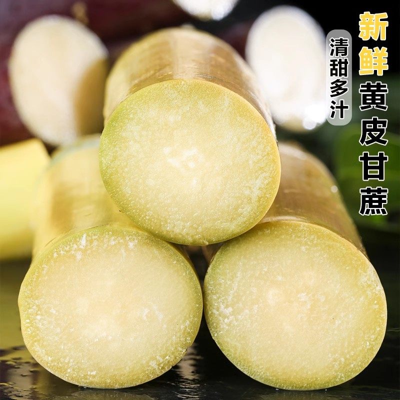 云南黄金甘蔗脆甜黄皮新鲜现砍水果当季非黑皮甘蔗清甜孕妇可吃,淘宝优惠券,粉丝福利购,淘宝优惠卷