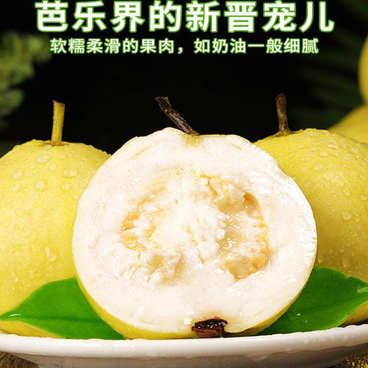 广西软糯奶油芭乐5斤新鲜水果当季软心番石榴鸡屎果白心芭乐包邮3,淘宝优惠券,粉丝福利购,淘宝优惠卷