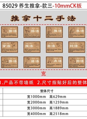 中医文化养生馆九大体质装饰挂画艾灸按摩推拿馆形象背景墙面布置