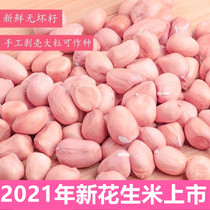Fresh raw peanut rice to shell white sand large grain peanut without shell peanut kernel powder red leather without shell pressed oil peanut rice