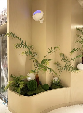 金丝猴蕨禅意蕨类植物室内意境绿植景观楼梯过道装饰仿金毛狗蕨树