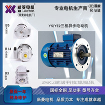 Zhejiang Xinling Huangyan YE2YSYE3 three-phase asynchronous motor 380V copper core wire AC motor horizontal industry