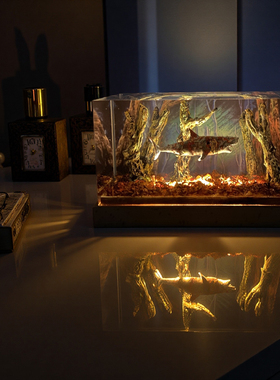 树脂实木家居摆件氛围小夜灯室内