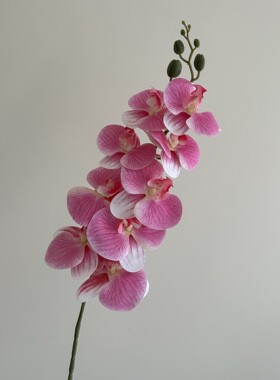 蝴蝶兰3D打印胶片9头手感仿真花假花高级感品质婚庆插花软装礼盒