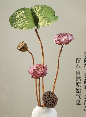 真花风干天然干花荷花荷叶莲蓬花束客厅桌面装饰摆件诧寂风永生花