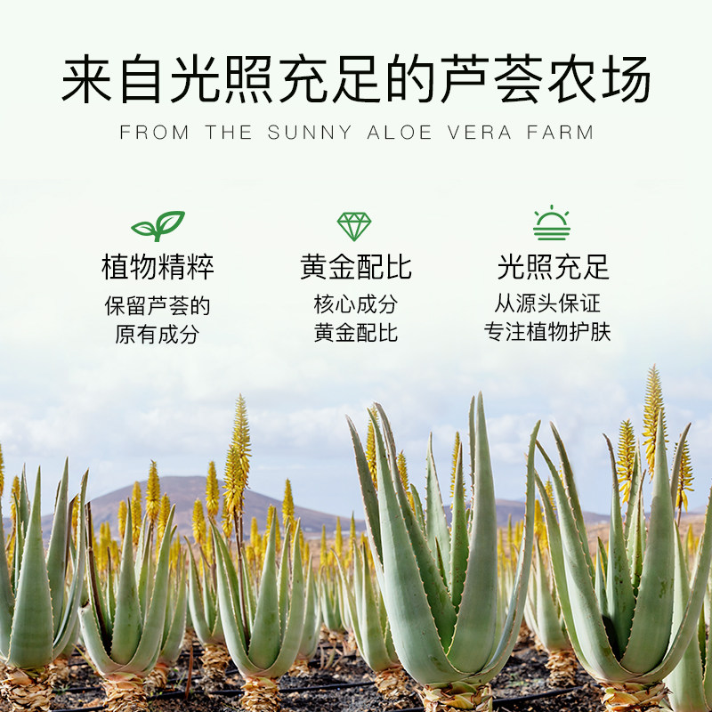 芦荟补水收缩毛孔清爽型祛痘爽肤水 碧素堂秀能化妆水/爽肤水