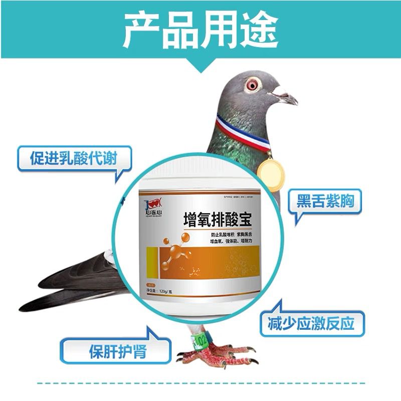 心连心鸽用增氧排酸宝信鸽赛鸽比赛改善排酸专用鸽子保健紫胸黑舌