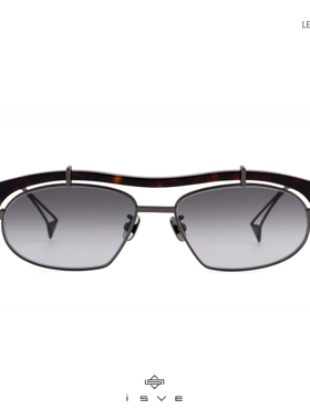 iSVE眉上双梁框复古小框墨镜日系