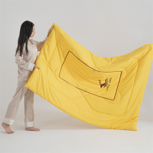 汽车折叠抱枕被全棉绣花靠垫办公室空调被午睡毯子沙发腰靠午休被 - 图1