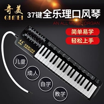 Chimei Full Music Accordion 37 Key Students With Children Beginners Adult Teaching Professional Playing Grade Harmonica