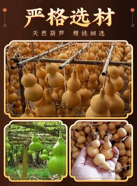 新葫芦挂件天然葫芦串高档多用门帘客厅玄关装饰品葫芦挂饰家居饰