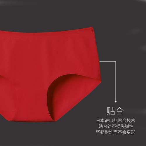 DPL大红内裤女本命年纯棉质中腰结婚低腰无痕一片式少女三角女士 - 图0