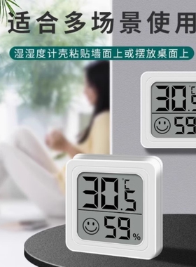 宠物小宠电子温度计湿度计车载幼宠兔子龙猫豚鼠刺猬花枝熊温度计