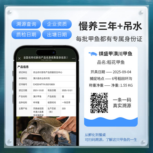[甲鱼鲜活]生态野养山塘王八水鱼团鱼现抓现发活体甲鱼顺丰包邮 - 图1