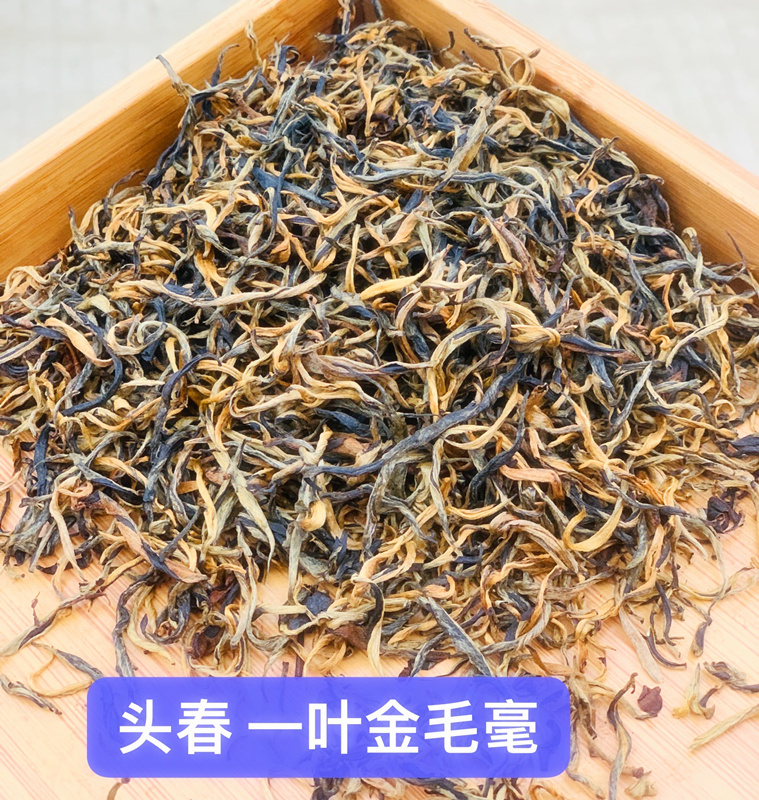 金毛毫 23年头春茶新茶 英红九号 英德特产红茶 300g入口顺滑散装