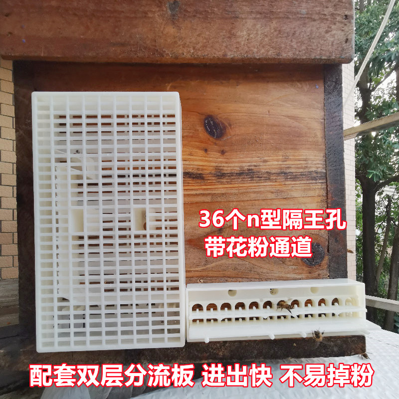 顶格6号蜜蜂分蜂器自动中蜂巢门防逃器土养格子箱收王器无人值守