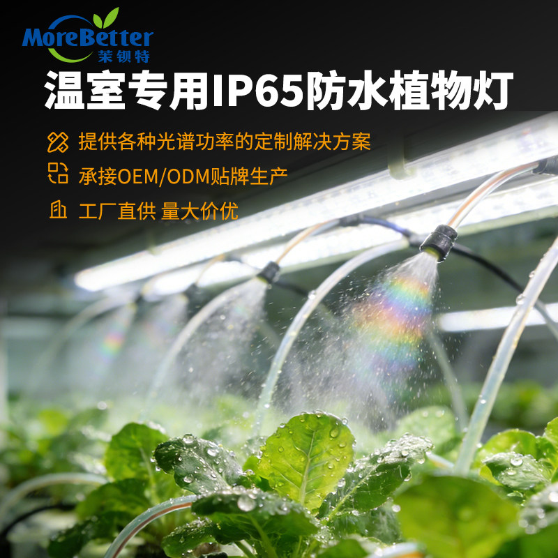 茉钡特T8LED植物生长补光灯防水IP65级组培灯管温室水培户外种植,淘宝优惠券,粉丝福利购,淘宝优惠卷