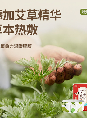 艾草暖腰贴热敷腰腹护腰贴10片