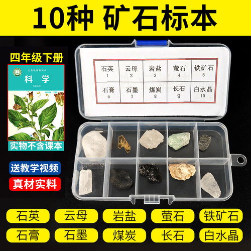 四年级科学下册小学生岩石标本与矿物矿石盒课本配套实验材料套装 - 图3