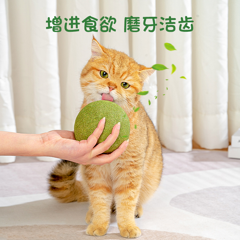 猫玩具猫薄荷球超大逗猫球猫咪自嗨解闷神器逗猫棒耐咬猫磨牙用品 - 图2