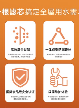 水丽厨下净水器德国进口家用净水
