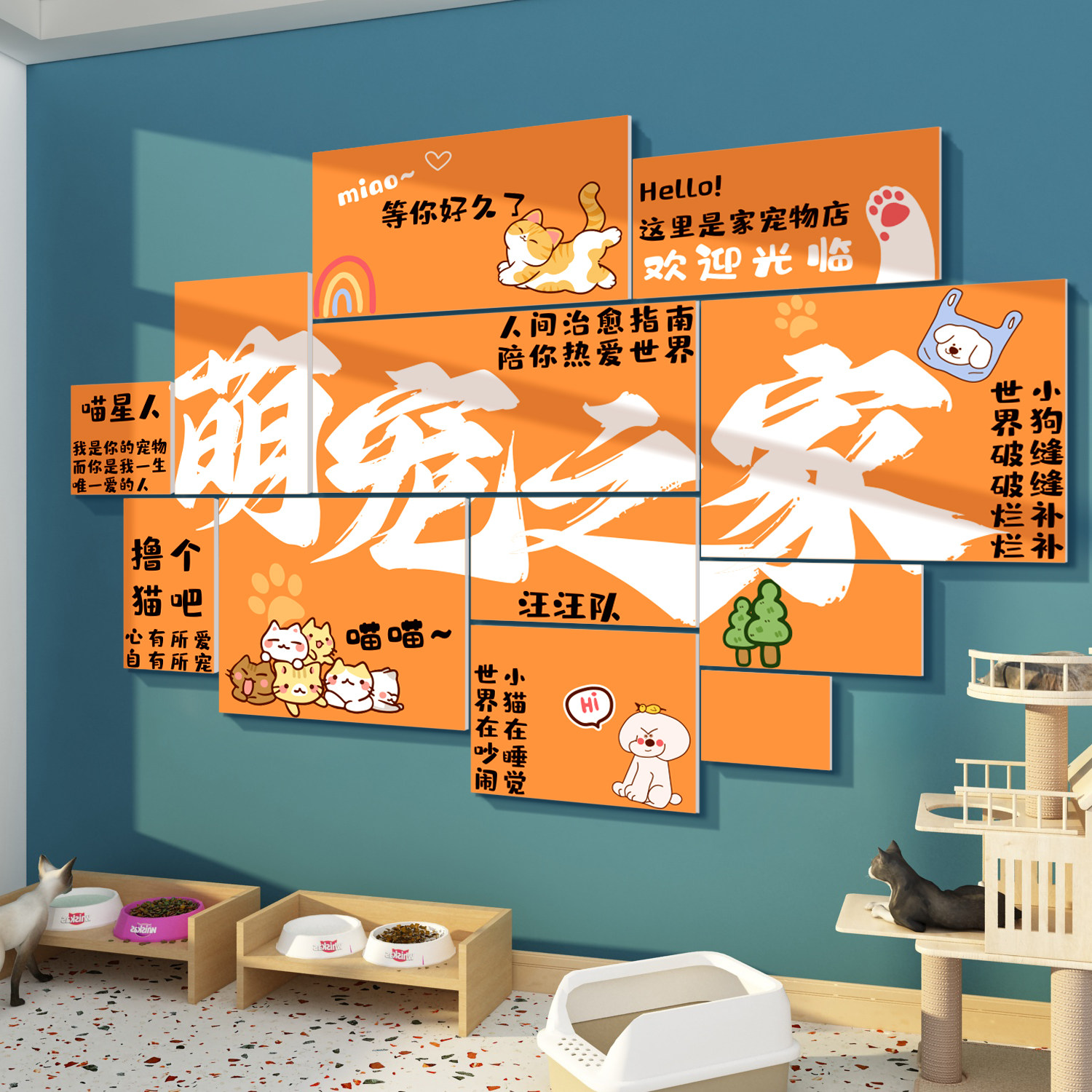 宠物店墙面装饰挂画网红猫咖舍布置用品玻璃贴纸美容医院装修背景