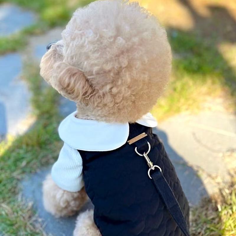 宠物情侣装可牵引狗狗衣服泰迪比熊博美雪纳瑞小型犬猫咪秋冬装 - 图1