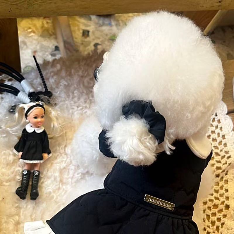 宠物情侣装可牵引狗狗衣服泰迪比熊博美雪纳瑞小型犬猫咪秋冬装 - 图2