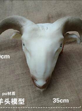 仿真生羊头假羊猪牛头 塑料可定做猪头生模型影视拍摄生猪头食物