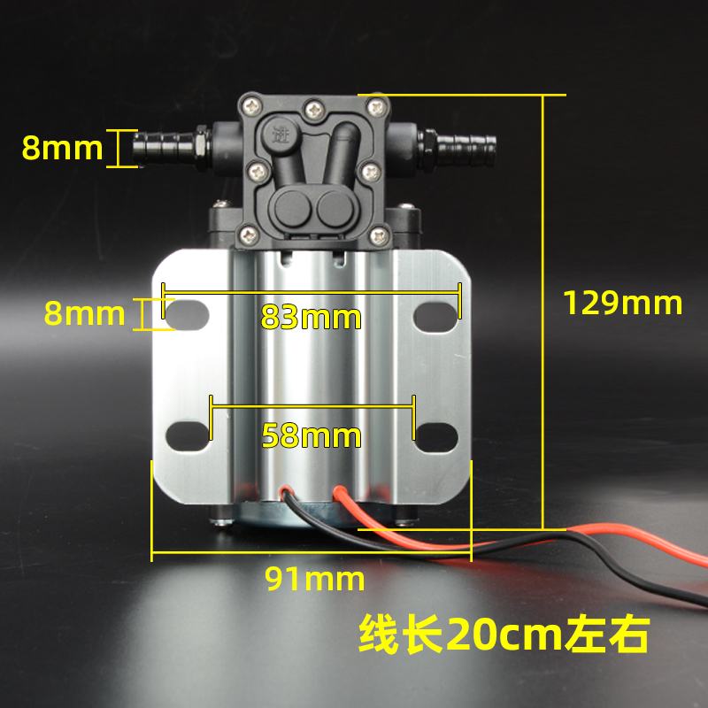 4S耐用款大货车刹车淋水器泵配件12V24V轮胎放水滴水开关抽水泵 - 图1